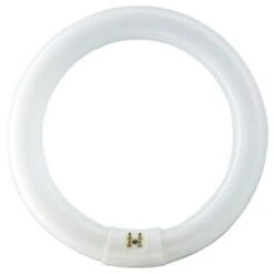 Philips® Fluorescent Bulb, 32 Watt, T9 Circline, 4,100k, 62 Cri