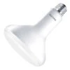 Philips LED Reflector Flood Retrofit (577866)