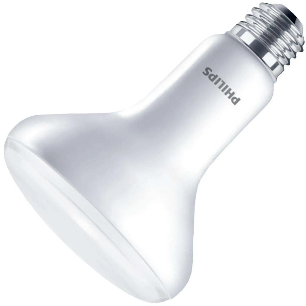 Philips LED Reflector Flood Retrofit (457044) 1 Philips LED Reflector Flood Retrofit (457044)