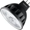 Philips LED Reflector Flood Retrofit (573576)