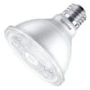 Philips LED Flood Light Bulb (470880)