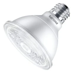 Philips LED Flood Light Bulb (470880)