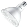 Philips LED Spot Light (470996)