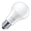Philips LED Light Bulb (497586)