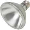 Philips® 39w Par30 Halogen Flood Bulb (2790k)