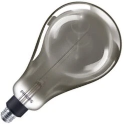Philips LED Light Bulb (536300)