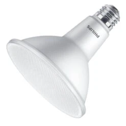 Philips LED Light Bulb (546950)