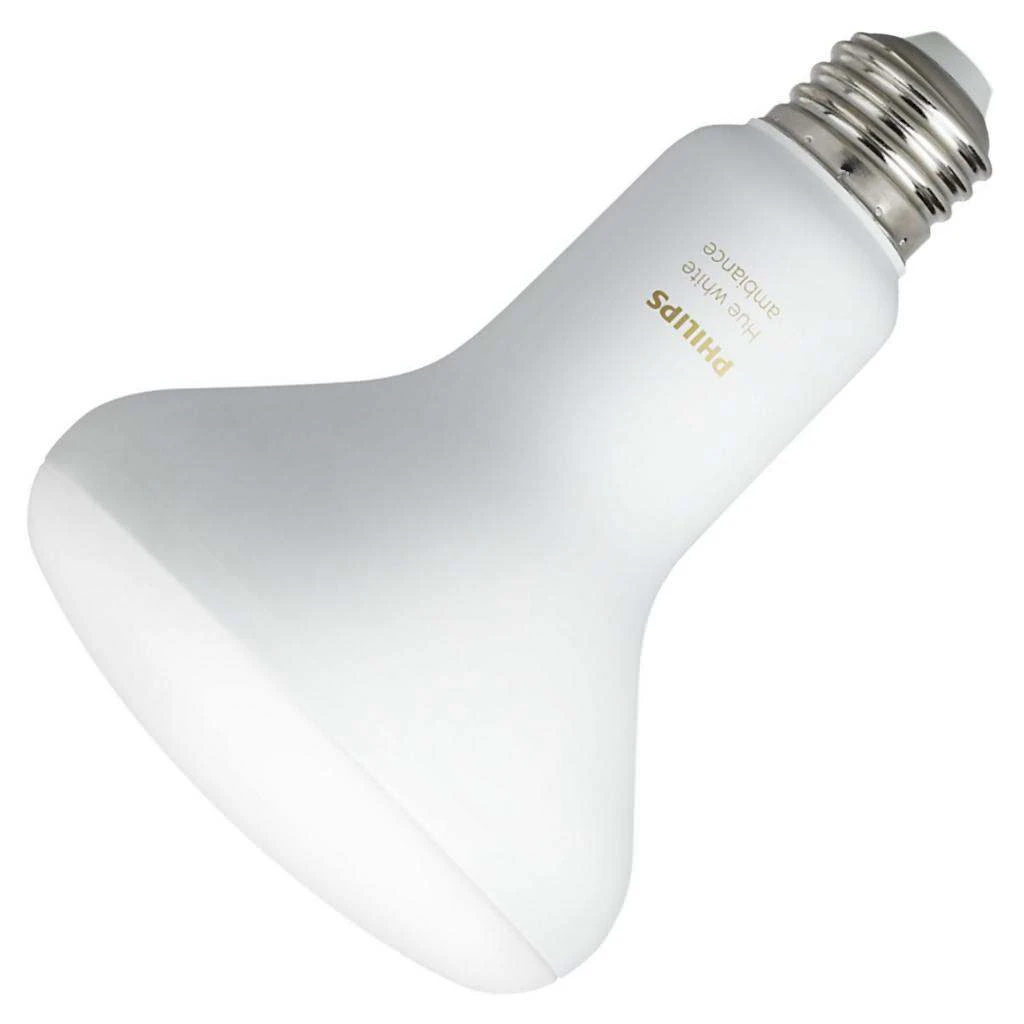 Philips LED Light Bulb (548511) 1 Philips LED Light Bulb (548511)