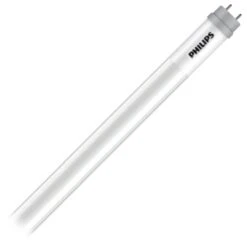 Philips Light Bulb (563544)