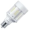 Philips LED Light Bulb (559856)