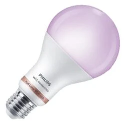 Philips LED Light Bulb (562405)