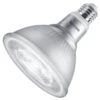 Philips LED Light Bulb (567750)