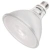 Philips LED Light Bulb (567891)