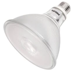 Philips LED Light Bulb (567891)