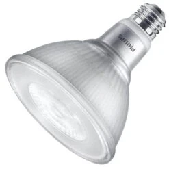 Philips LED Light Bulb (567909)