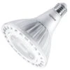 Philips LED Light Bulb (569723)