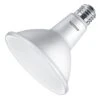 Philips LED Light Bulb (577742)