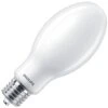 Philips LED Light Bulb (578954)