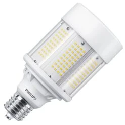 Philips LED Light Bulb (579029)